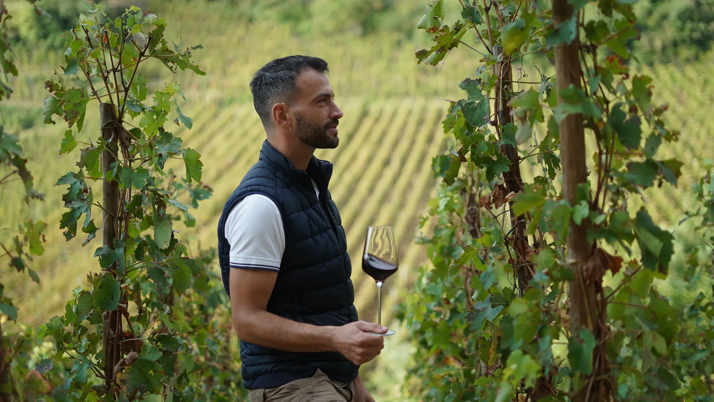 La gastronomie en Drôme Ardèche