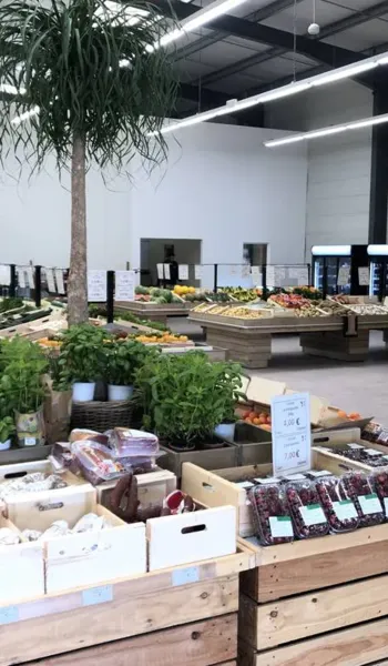 Le Marché Loc'Halle