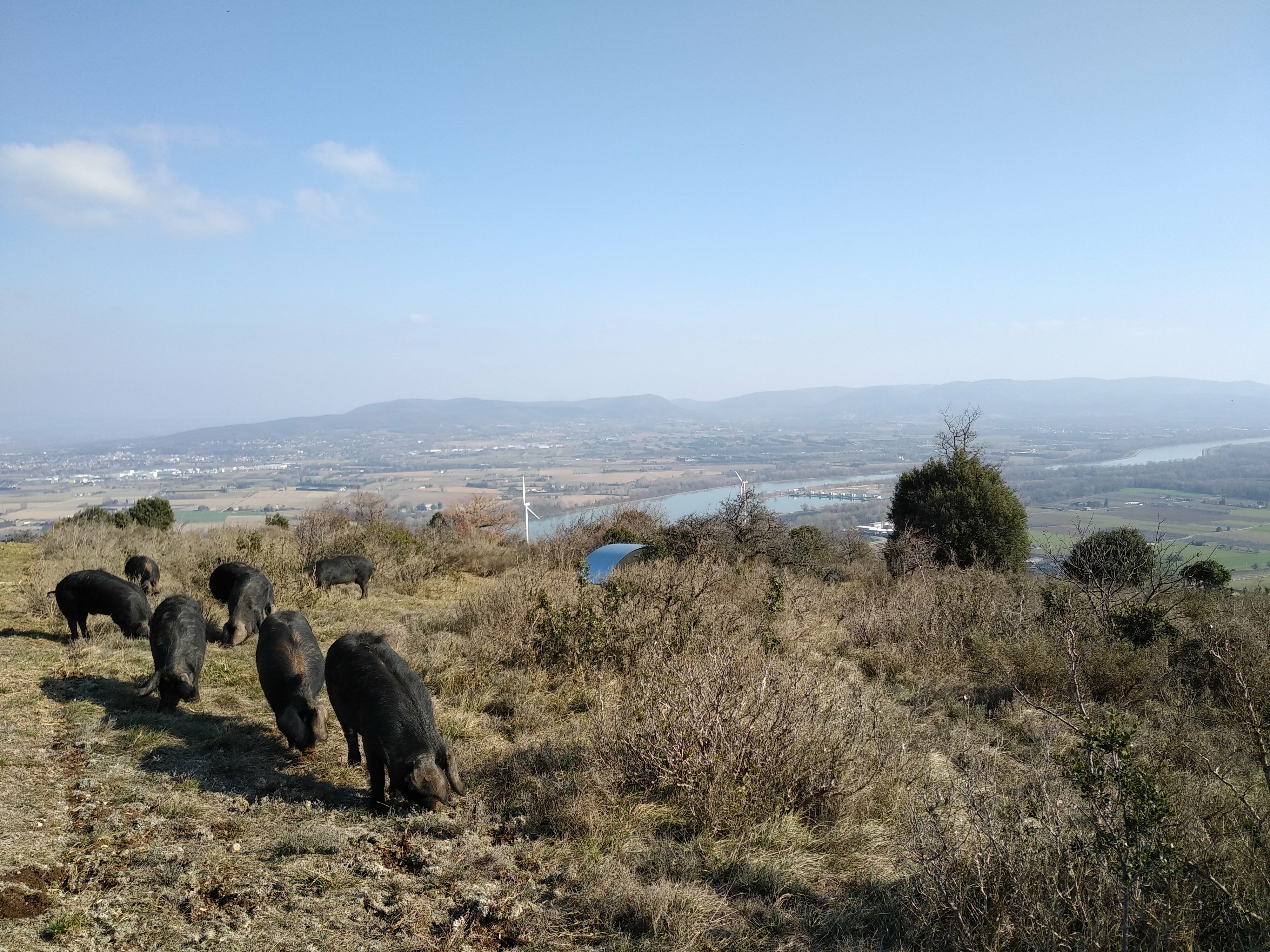 GAEC Ferme du plateau des soies