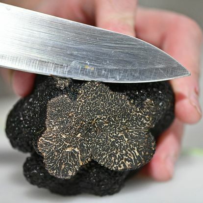La production de truffes en Drôme Ardèche