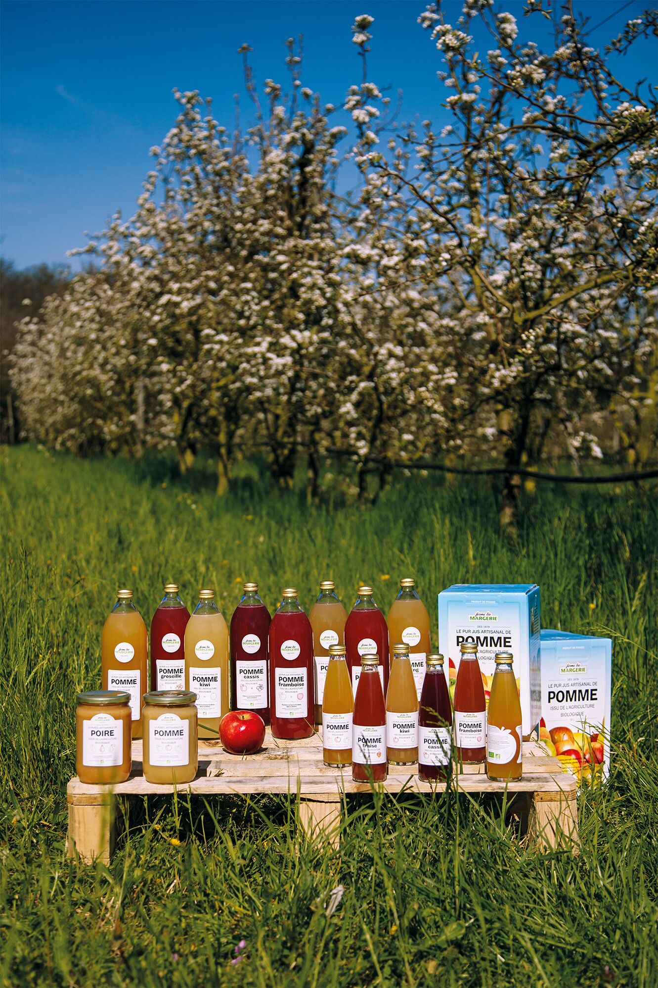 FERME BIO MARGERIE
